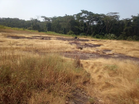 Məɓúgwon à Gouekong