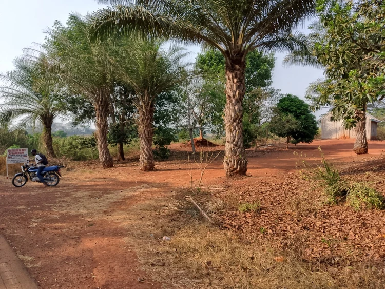 Vrai Eglise de Dieu Bouam