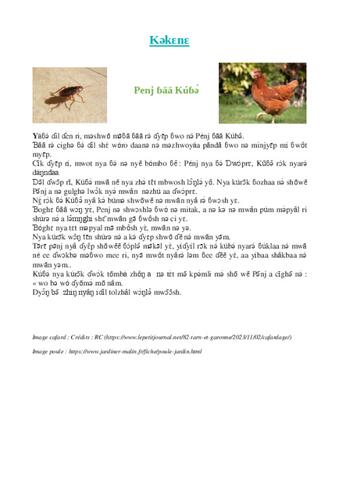 Kəkɛnɛ mə̄ Pénj ɓāā Kúɓə̂.pdf
